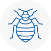 Bed Bug Extermination In Yiewsley