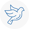 Bird Prevention Yiewsley