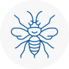 Yiewsley Hornet Nest Removals