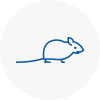 Mice Exterminators In Yiewsley