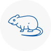 Rat Control Yiewsley