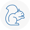 Yiewsley Rodent Removals
