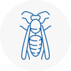 Yiewsley Wasp Nest Removal